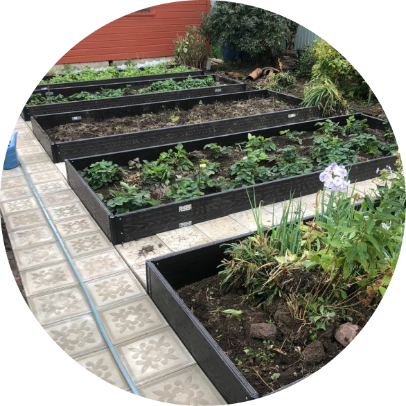 грядки из доски дпк