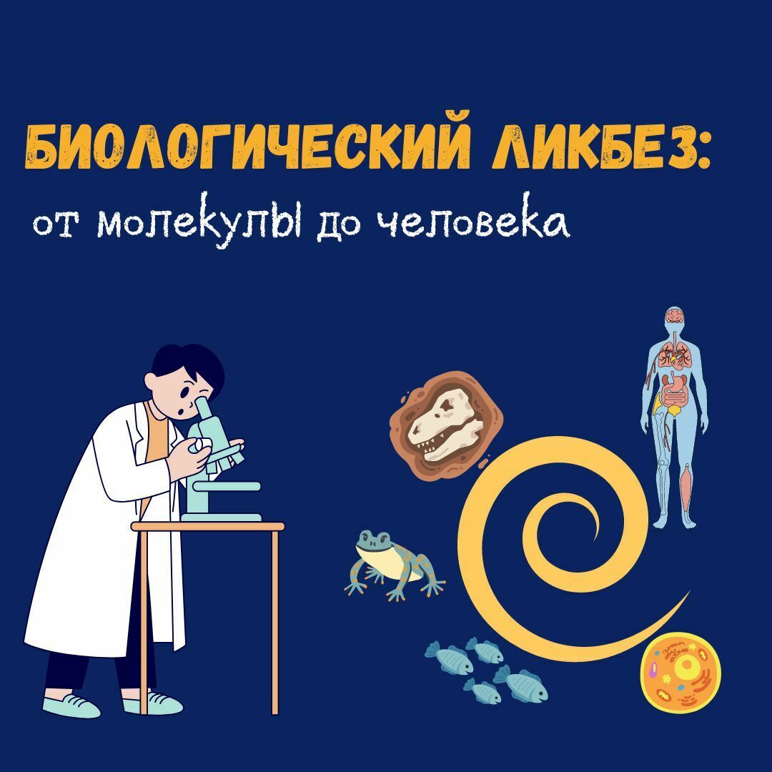 Биологический ликбез: от молекулы до человека.