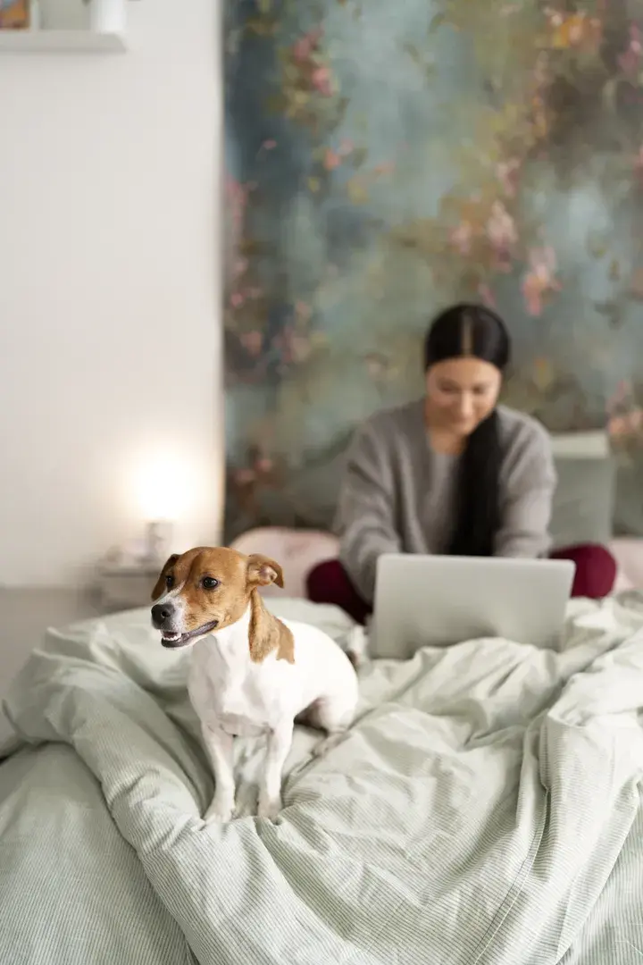 Размещение с домашними животными в отеле Dog Friendly Анапа