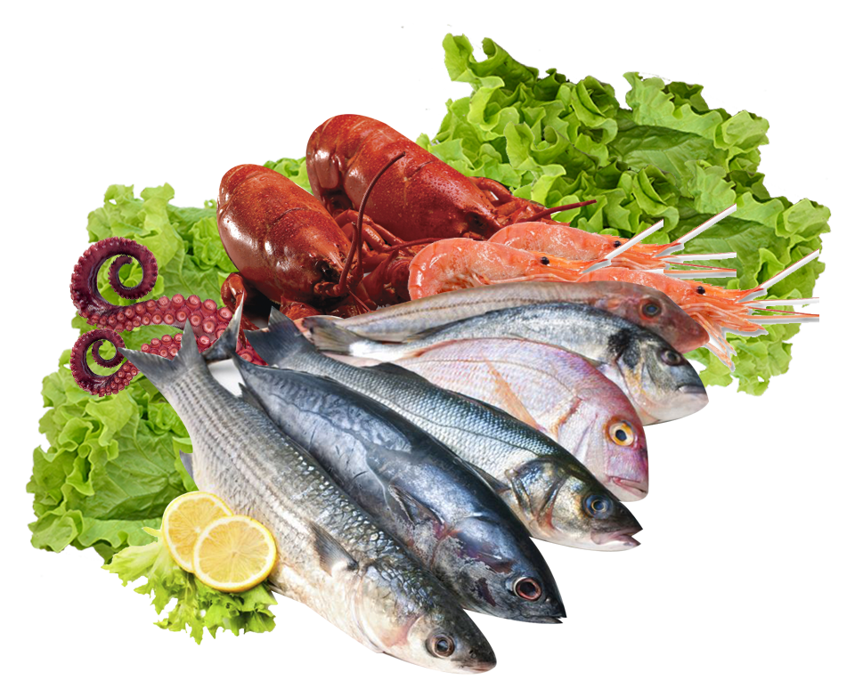 Fish product. Рыба и морепродукты. Морепродукты на белом фоне. Рыба еда. Свежая рыба на белом фоне.