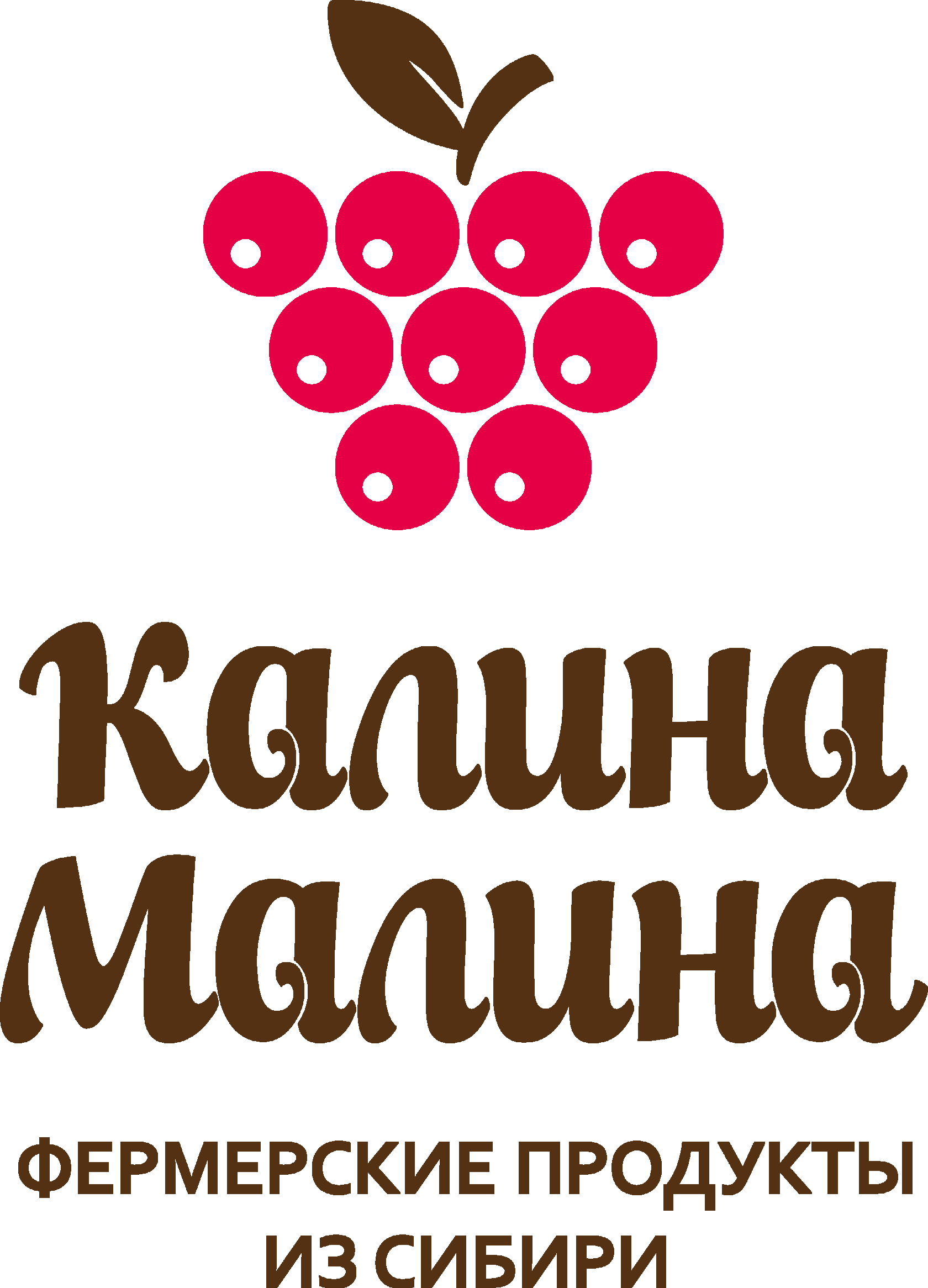 Калина малина дисконтная карта