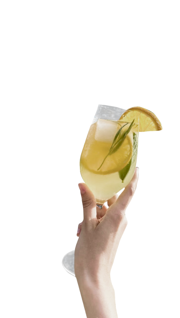 отдых у реки