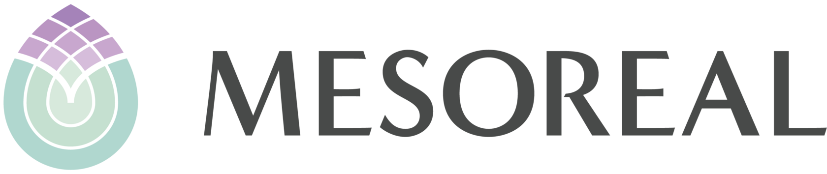 Mesoreal Clinic