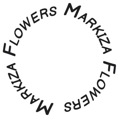 Купить букет из сухоцветов в СПб | каталог букетов из сухоцветов ...