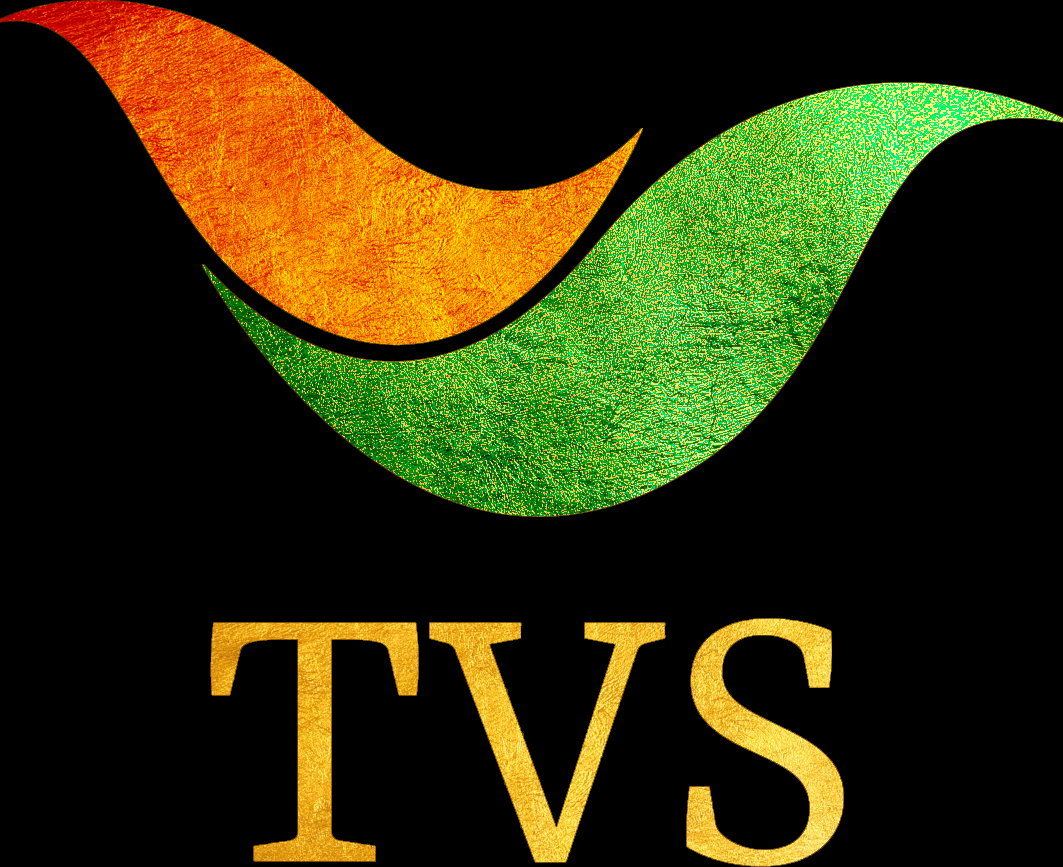 tvs travel industry