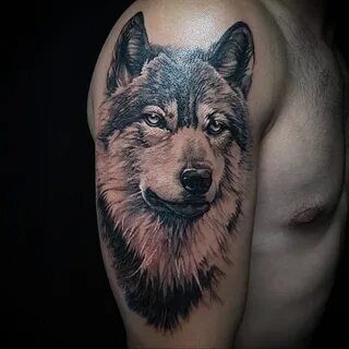Тату волка на руке - значение, эскизы, фото татуировки