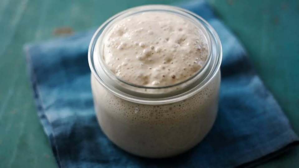 Active sourdough starter at peak fermentation ready for baking bread