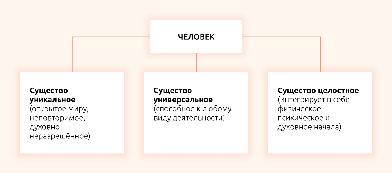 План на тему человек биосоциальное существо. Сложный план Биосоциальная сущность человека.