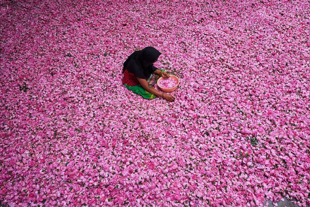 Каннаудж. Источник: National Geographic