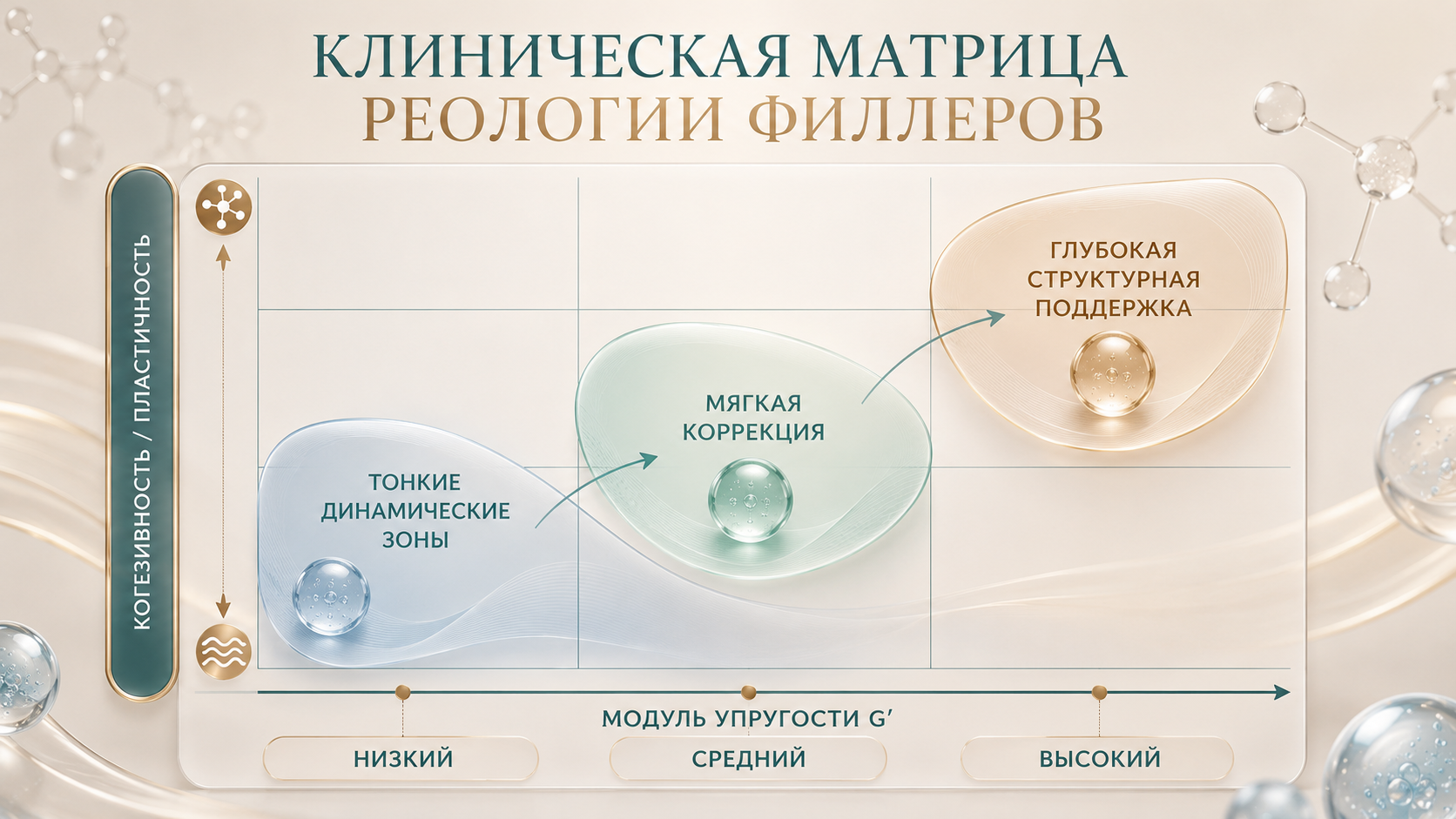 Клиническая матрица реологии филлеров