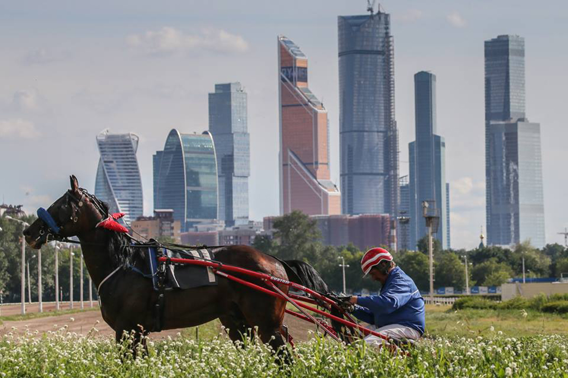 Ипподром москва