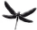 ts.