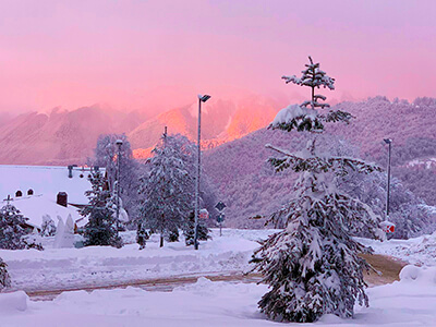 Роза Хутор январь 2025