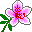 Магазин цветов Flora