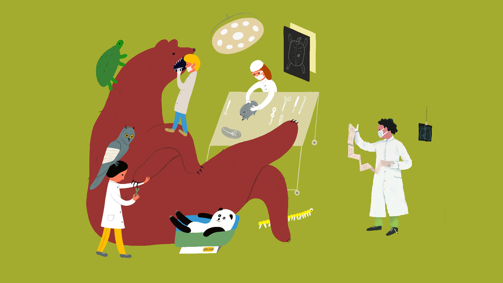 Ветеринария