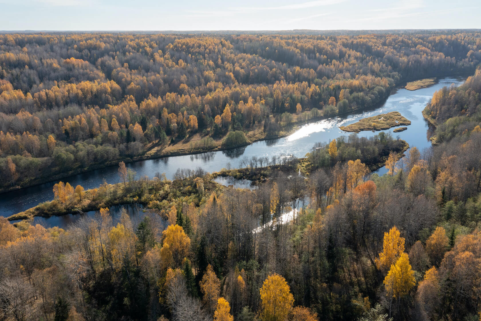 САП прогулки Вепсский лес