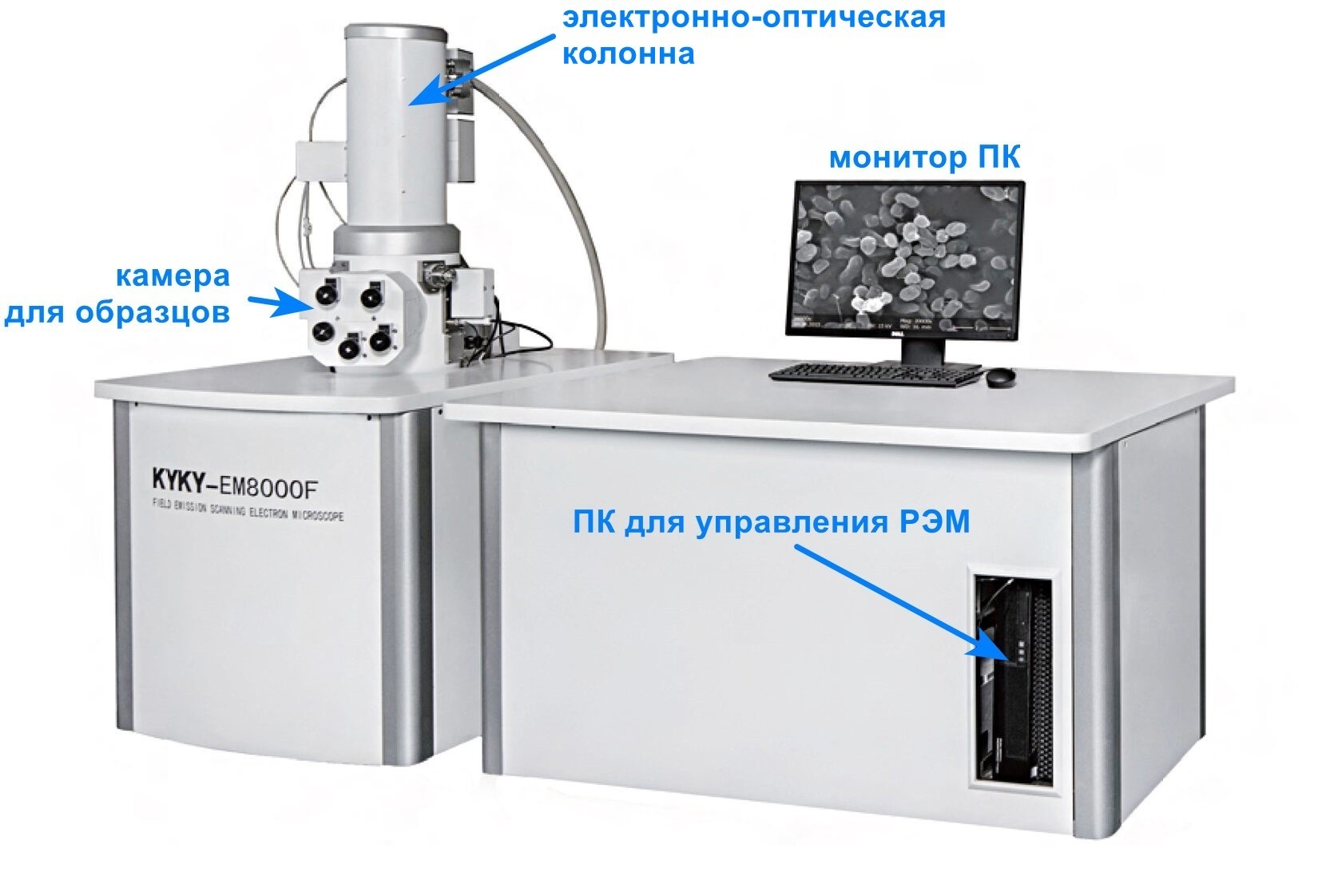 ИНСКАН - Что такое растровый электронный микроскоп?