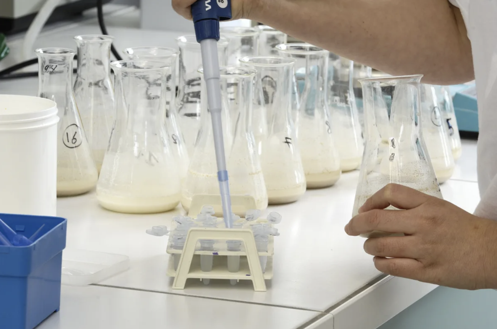 Приготовление проб. Исследование молока в лаборатории. Качество молока. Исследование молока и молочных продуктов. Исследование молочной продукции.