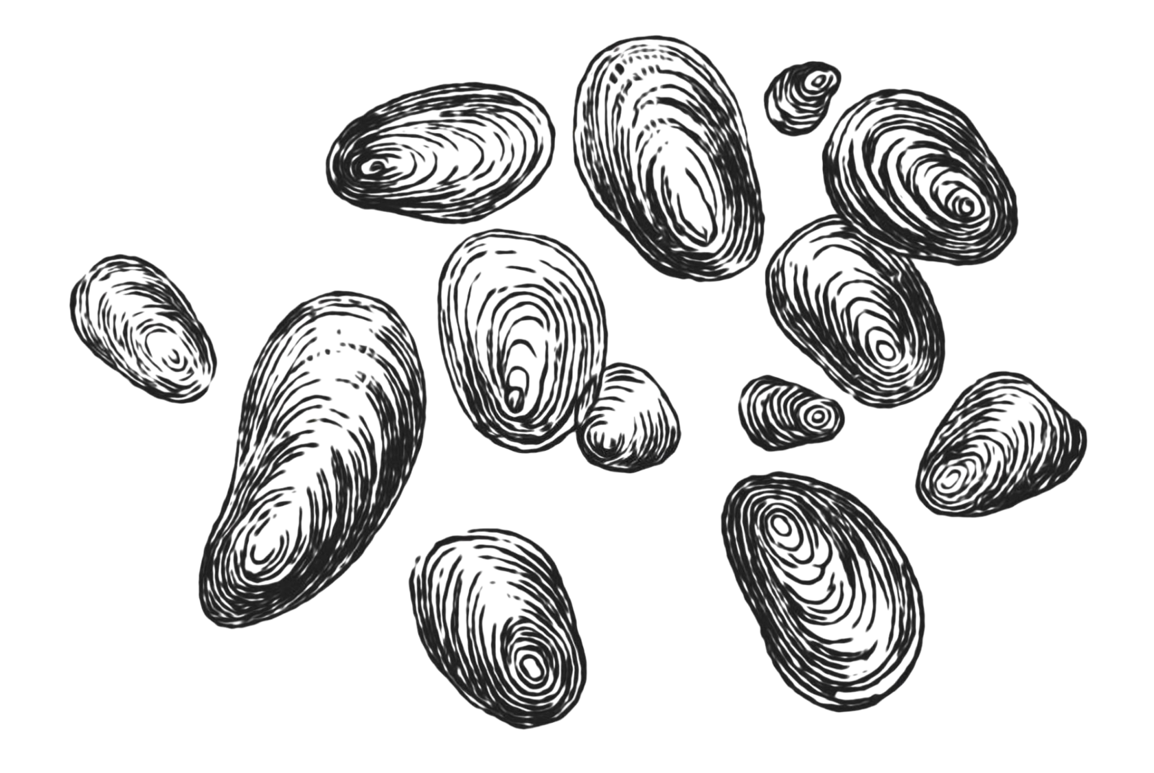 Технологии производства крахмала ООО ПК Житница Руси