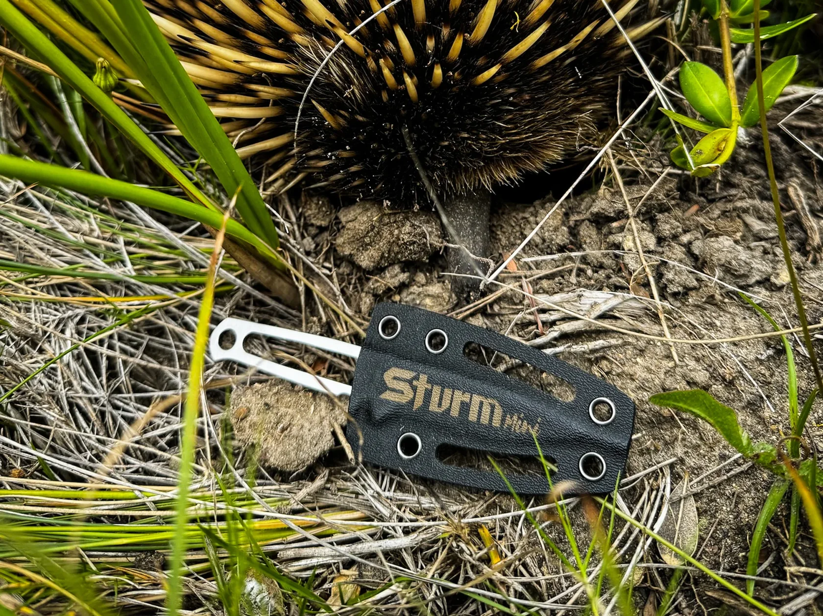 Sturm Mini skeletonised knife among aloe plants