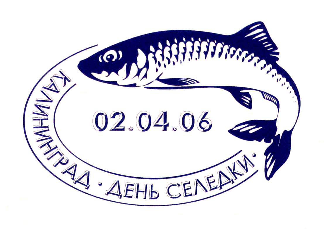 сельдь схема. рыба сельдь вектор. технологическая схема приготовления блюда сельдь рубленная. сельдь схема. сельдь схема.