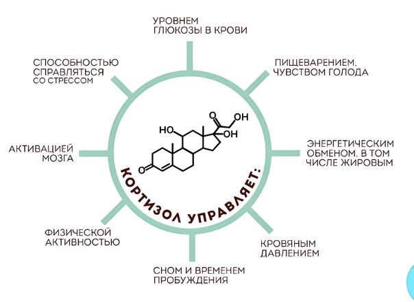 Гори, гори ясно или сколько раз нужно сгореть, чтобы сделать выводы?, изображение №5