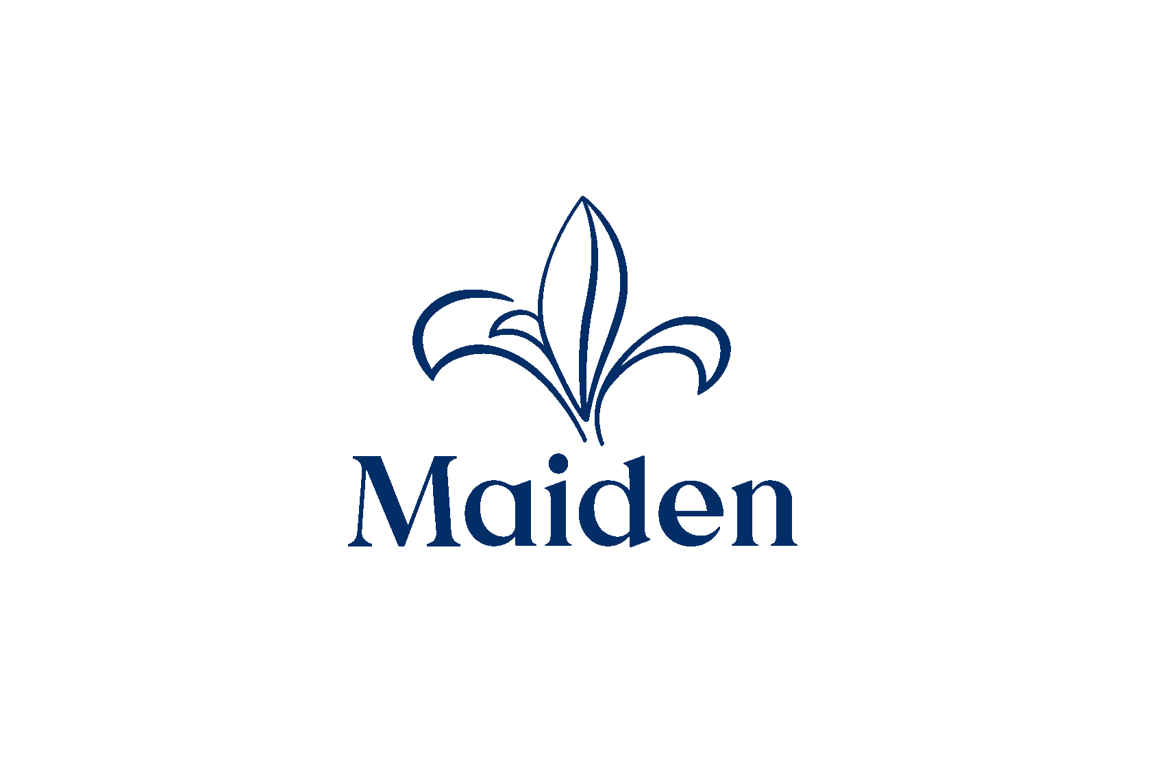 Логотип Maiden