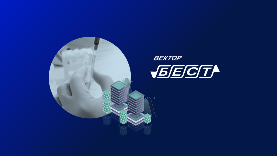 Компания вектор