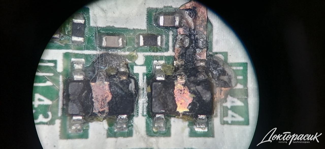 Лаборатория компании 