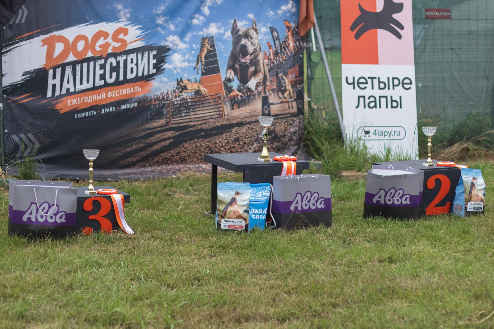 Фестиваль DogsНашествие 2026 в Янино — площадка и призы
