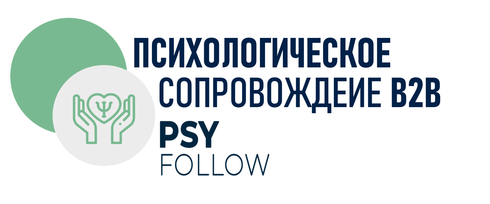 PSY Follow