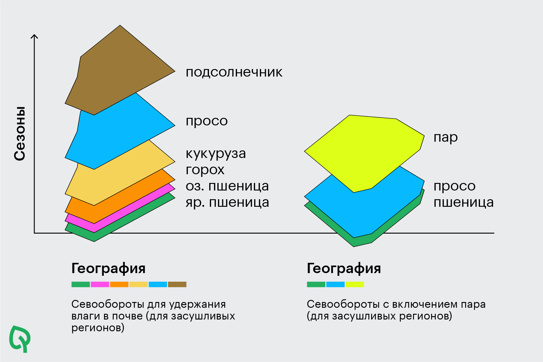 Карта севооборота полей