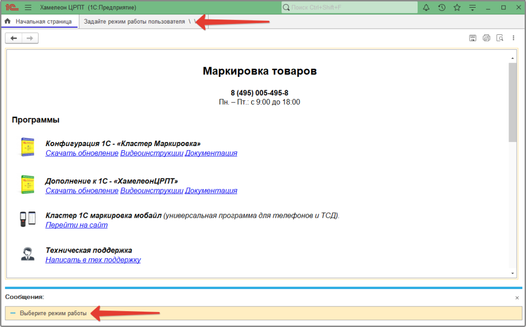 Начальная страница ХамелеонЦРПТ.png