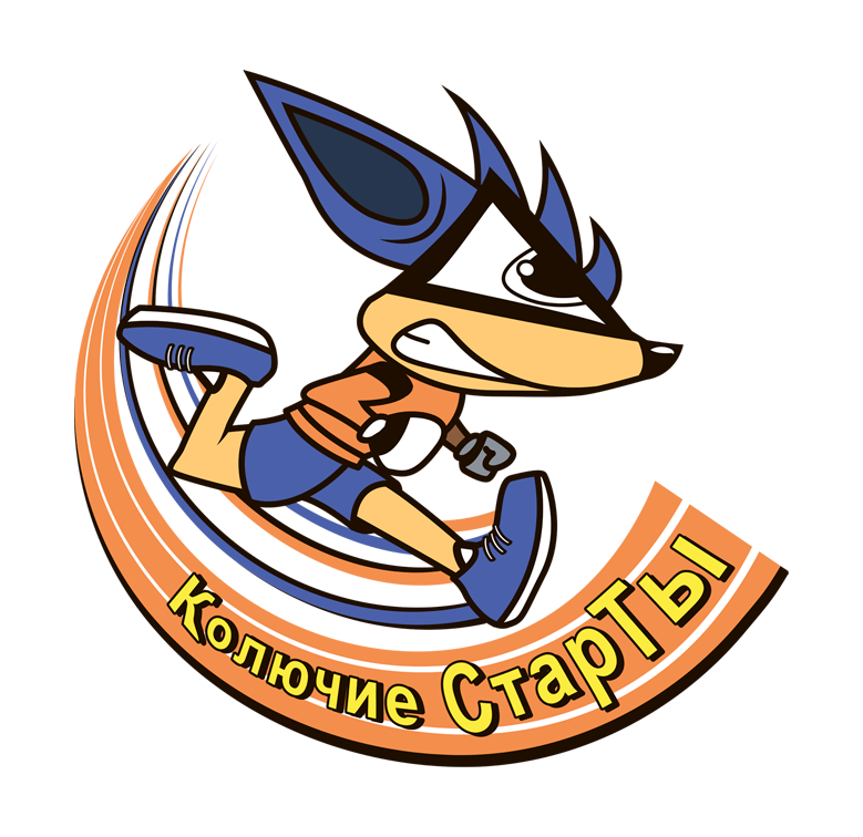 Турнир Спортмастер Про Кировского района СПб