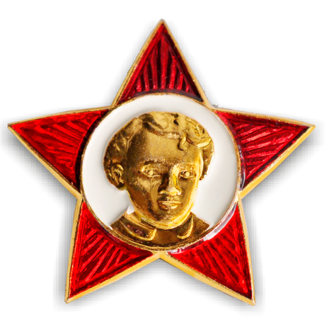 значки на заказ в москве-значки-москва-badges-sign-pin-collet-pin-star-award-souvenir-gold-red-white-image-star-face-boy-rays-relief-anniversary-merit-logo-firm-business-institute-military-wreath-grad-nagrad