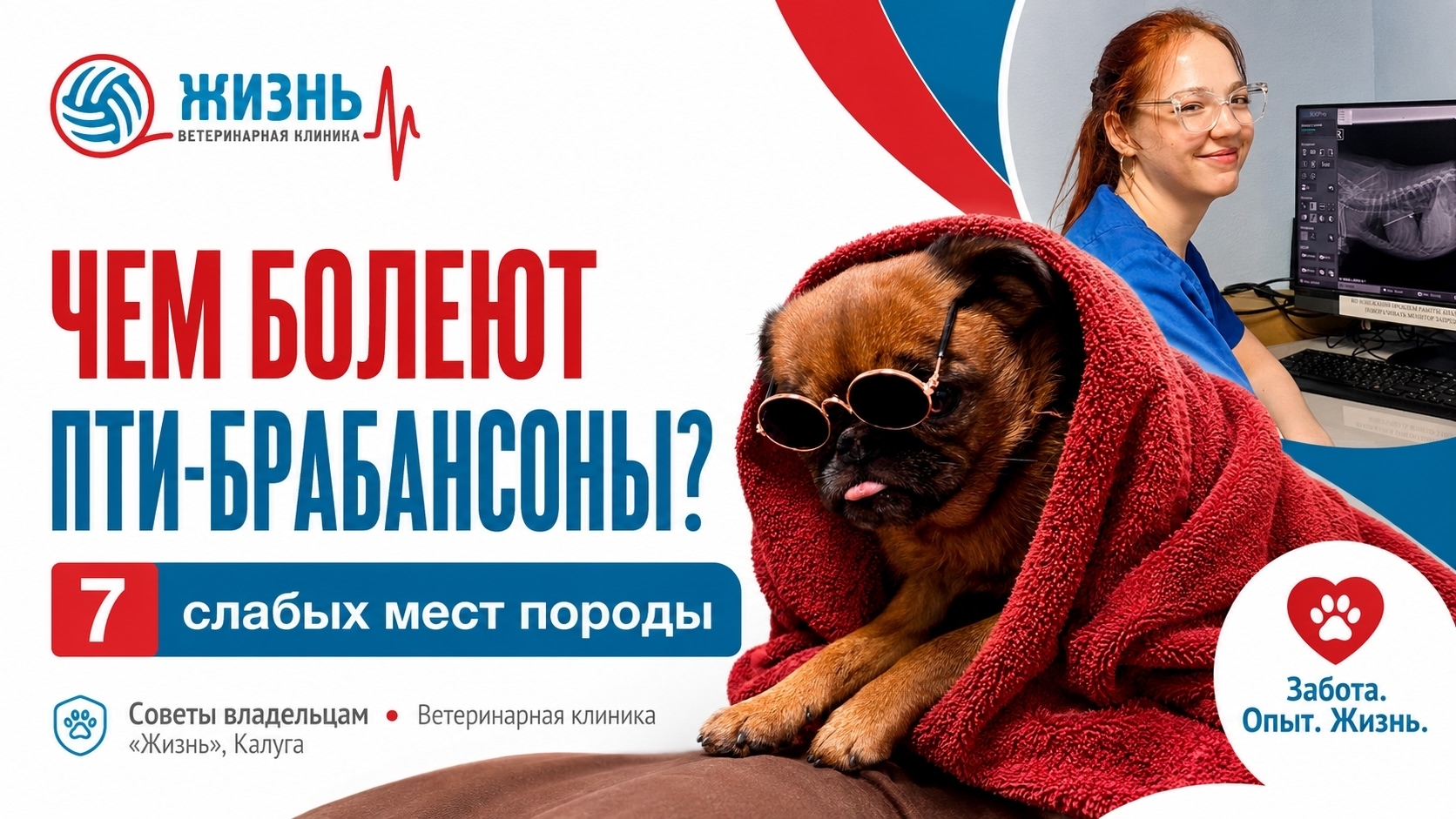 Чем болеют пти-барбансоны.