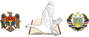 ПУБЛИЧНОЕ УЧРЕЖДЕНИЕ "ТЕОРЕТИЧЕСКИЙ ЛИЦЕЙ ИМ. ТОДУРА ЗАНЕТ"