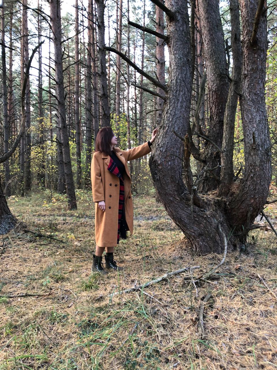 Фото: Ведьмин лес, природа, Брянская область, Навлинский район, Синезёрское сель