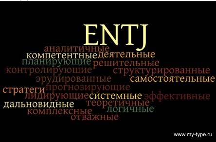 ENTJ 21 Career Choices for an ENTJ eBook  Holmes Alan Amazonin Kindle  Store