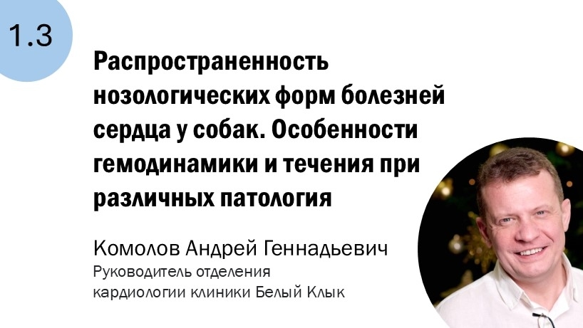 1.3 Распространенность нозологических форм болезней сердца у собак. Особенности гемодинамики и течения при различных патологиях