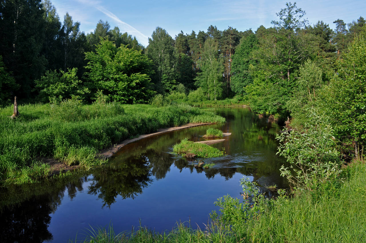 Подосинки река Нерская