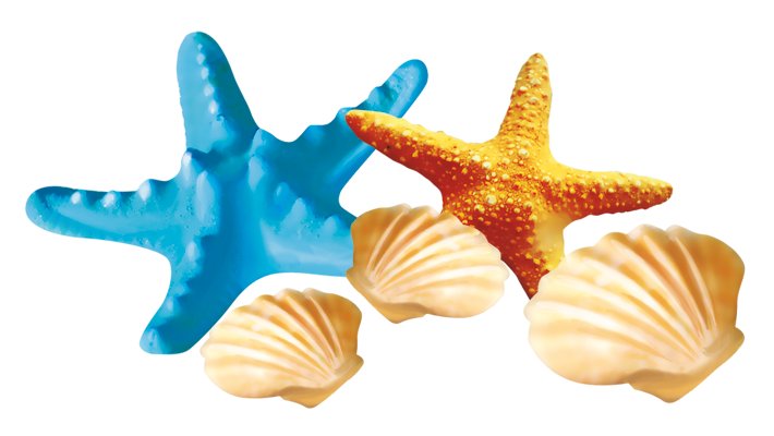 подводный мир