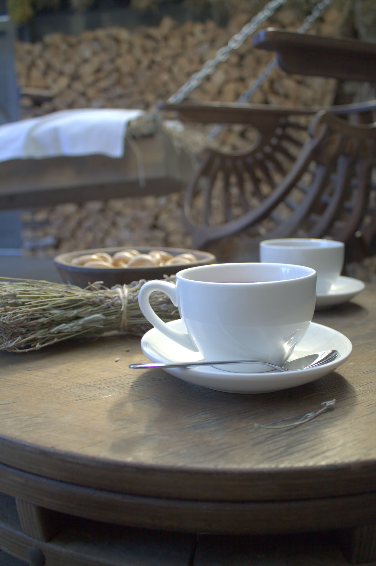 Программа Хвойная