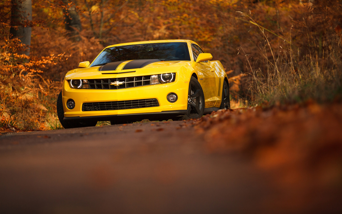 Chevrolet Camaro 4k