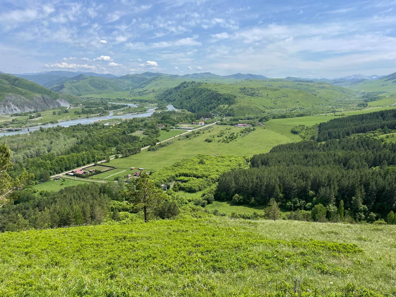 Горный Чарыш — панорама поселка