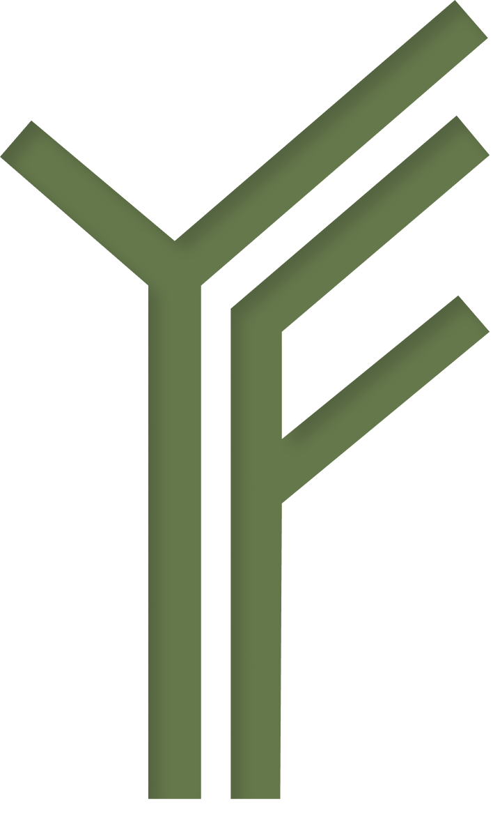 YOGA FEST KARELIA