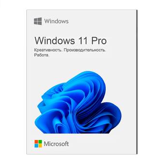 Microsoft Windows 11 Professional