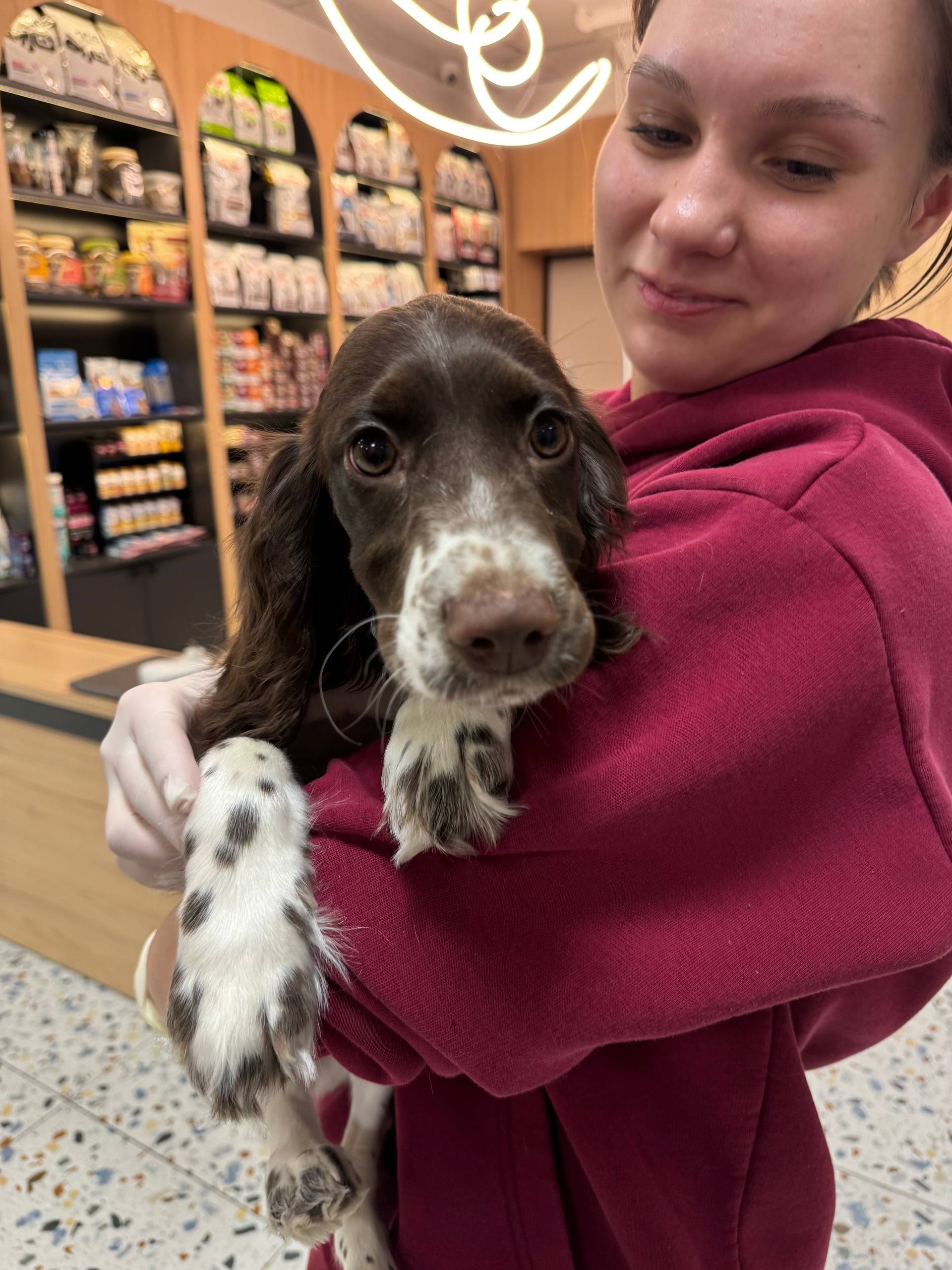 СВОЙ ДОКТОР — ветеринарная помощь 24/7