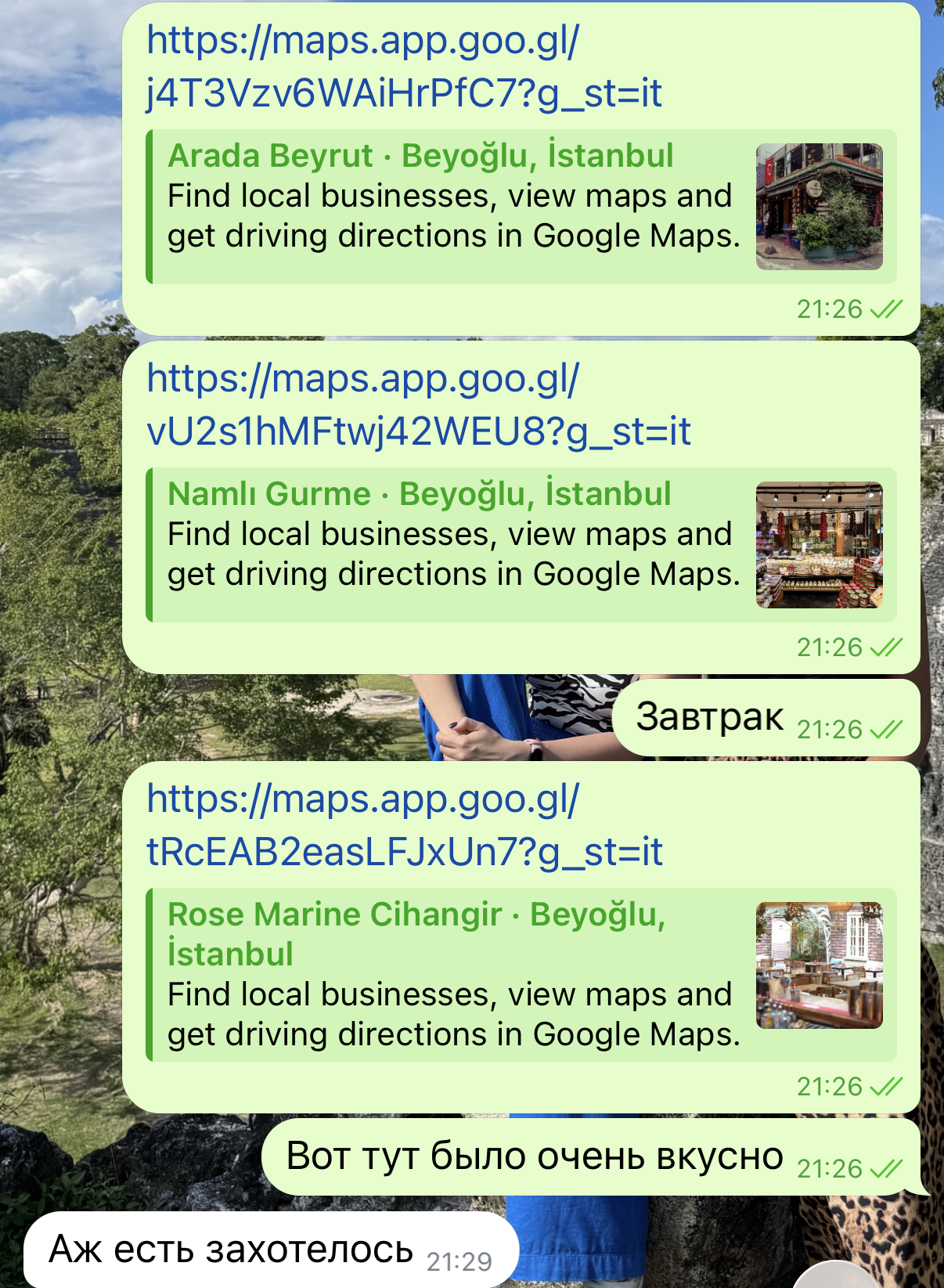 Conversation about Istanbul restaurant recommendations