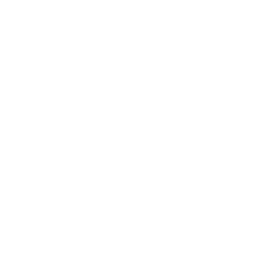 Портретная экспертиза